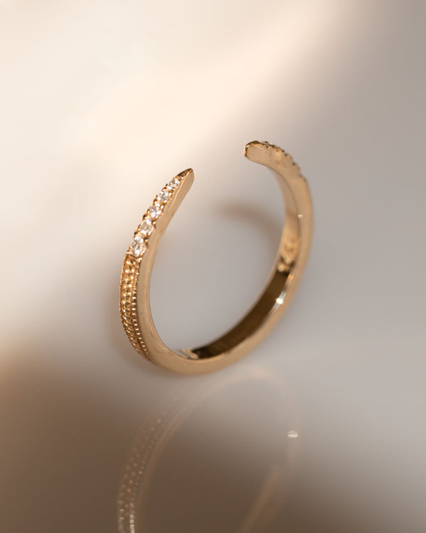 Artifact 03: Absolution Band Diamond Ring
