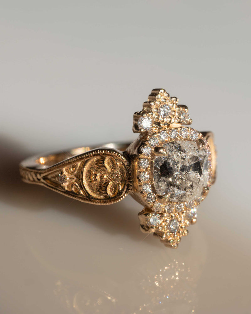 Artifact 07: The Dreamers Diamond or Salt and Pepper Engagment Ring